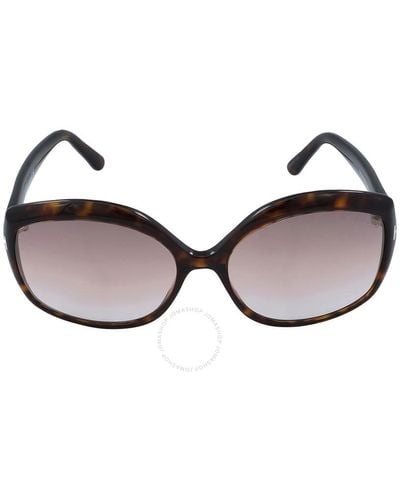 Tom Ford Gradient Butterfly Sunglasses - Brown