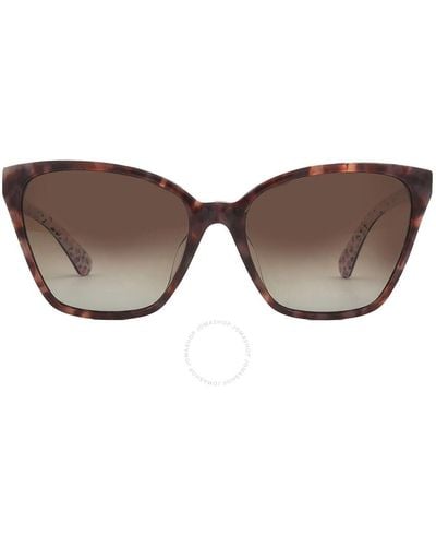 Kate Spade Polarized Brown Gradient Cat Eye Sunglasses Amiyah/g/s 0086/la 56