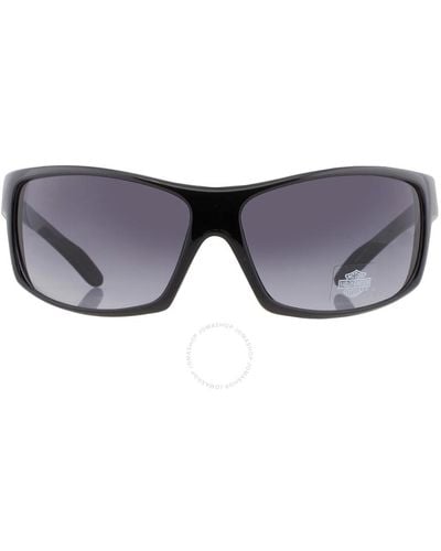 Harley Davidson Smoke Wrap Sunglasses Hd0140v 01a 70 - Gray