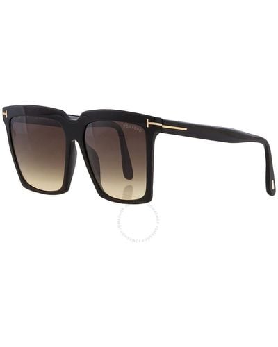 Tom Ford Eyeware & Frames & Optical & Sunglasses - Brown