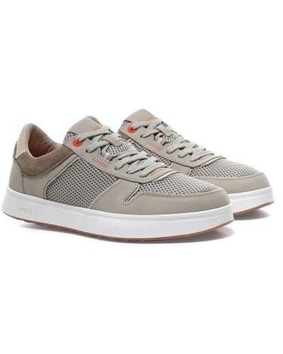 Swims Leather Strada Trainers - Grey