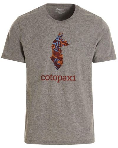COTOPAXI T-shirt 'altitude Llama' - Grey