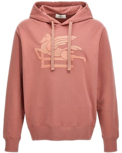 Etro Kapuzenpullover Mit Logo-Stickerei - Pink