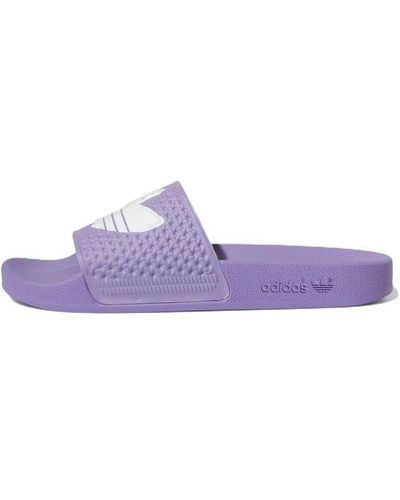 adidas Shmoofoil Slide - Purple
