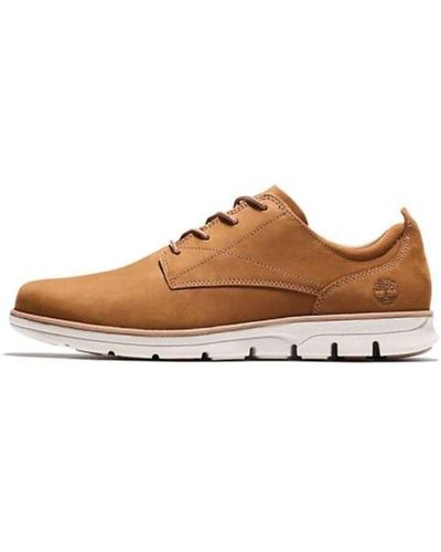 Timberland Bradstreet - Brown