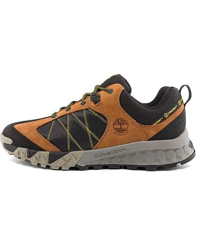 Timberland Trailquest Waterproof Low Sneakers - Brown