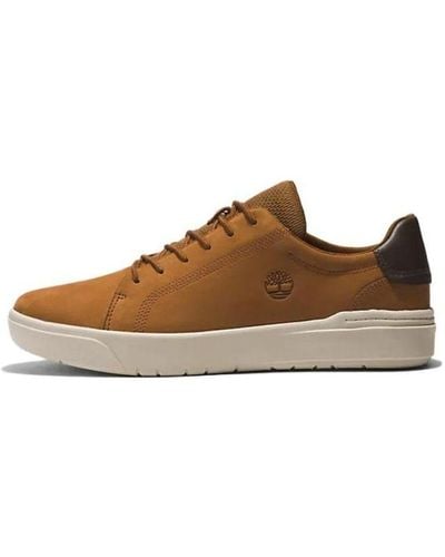 Timberland Seneca Bay Canvas Sneakers in Blue for Men | Lyst