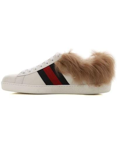 Gucci Ace Wool Embroidered - Brown