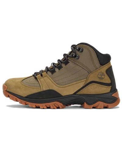 Timberland Mt. Maddsen Mid Lace Up Hiking Boots - Brown