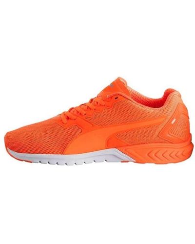 PUMA Ignite Dual Nightcat Low Cut Running Shoes - Orange