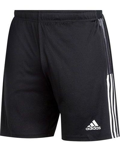 adidas Tiro21 Tr Sho 3 Bands Soccer Sport Shorts - Blue