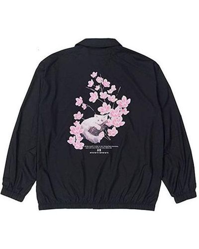 Li-ning Sakura Graphic Jacket - Blue
