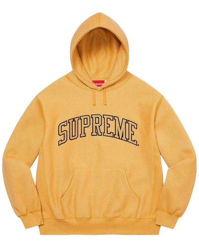 Supreme Glitter Arc Hooded Sweatshirt - Metallic