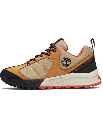 Timberland X Icebreaker Trailquest Waterproof Hiking Shoes - Brown