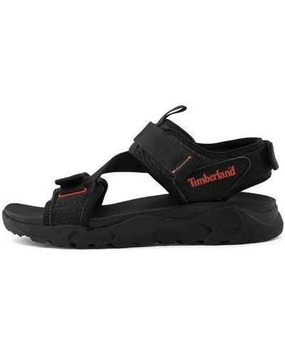 Timberland Sandals and Slides for Men | Online Sale up to 60% off | Lyst