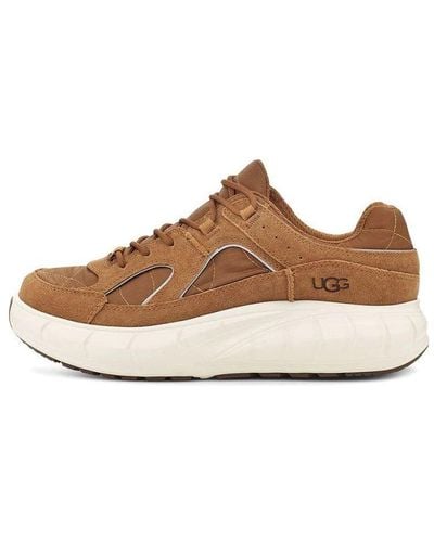 UGG Westsider Low Pufflite Sneaker - Brown