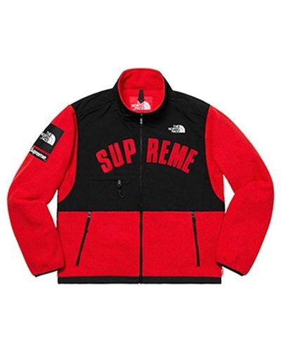 Supreme Ss19 X The North Face Arc Logo Denali Fleece Jacket in