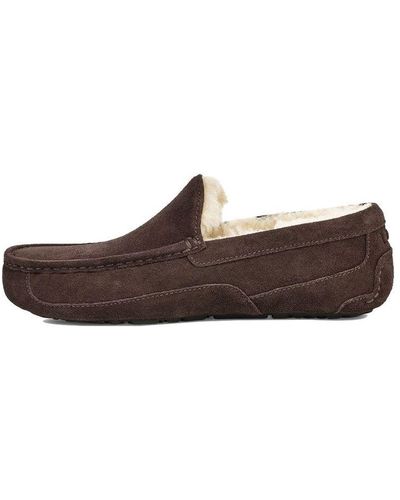 UGG Ascot Slipper Cozy Athleisure Casual Sports Shoe Fleece Lined - Brown