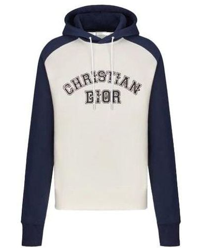 Dior X Peter Doig Fw21 Logo Long-sleeved Gray - Blue