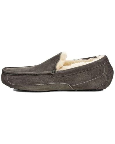 UGG Ascot Slipper Cozy Fleece Lined Athleisure Casual Sports Shoe Gray - Brown
