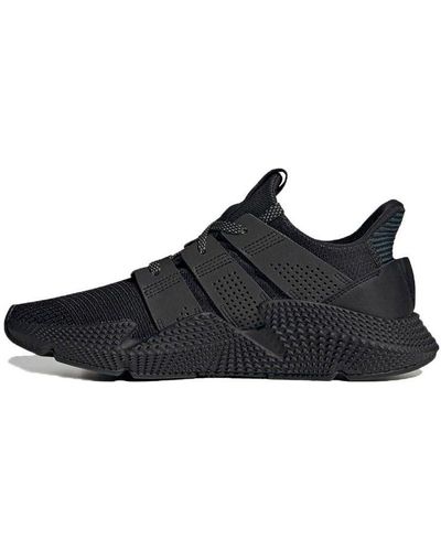 adidas Prophere in Brown for Men | Lyst