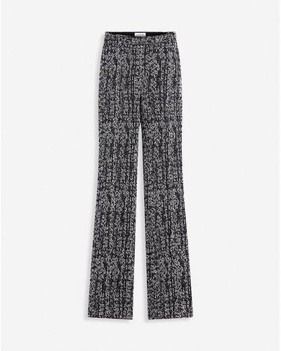 Lanvin Fitted Flared Pants - Gray