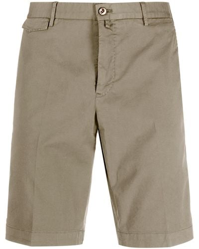 PT Torino Cotton Bermuda Shorts - Grey