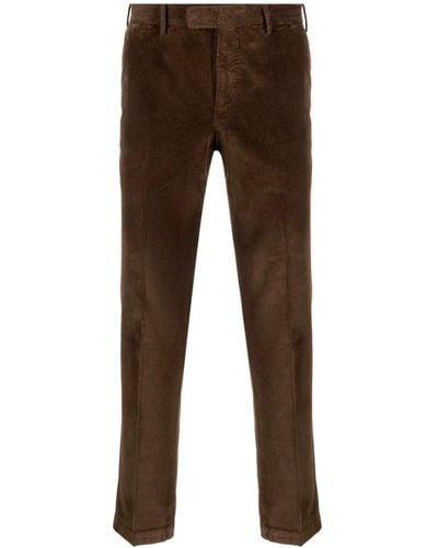 PT Torino Corduroy Trousers - Brown