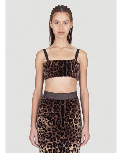 Dolce & Gabbana Leopard Print Crop Top - Brown