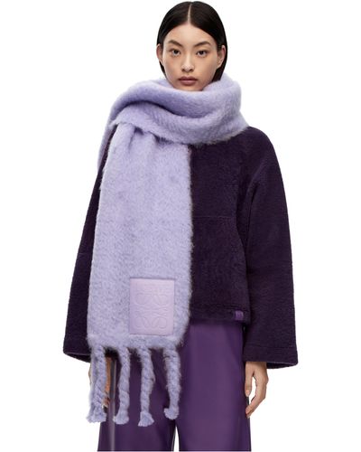 Loewe Scarf In Wool And Mohair - Purple