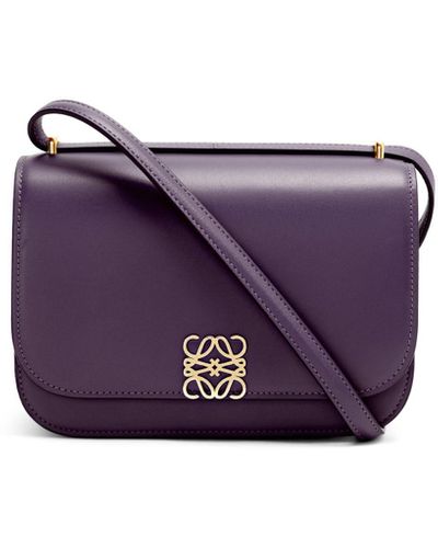 Loewe Luxury Small Goya Bag In Silk Calfskin - Multicolour