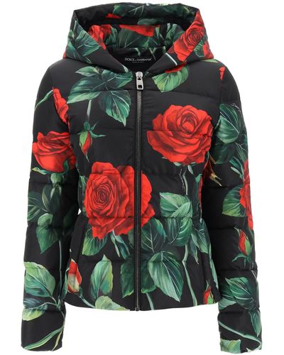 Dolce & Gabbana Red Rose Print Hooded Puffer Jacket - Black