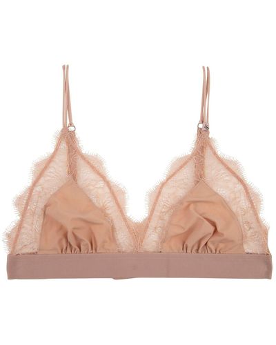 Love Stories Love Lace Bralette - Pink