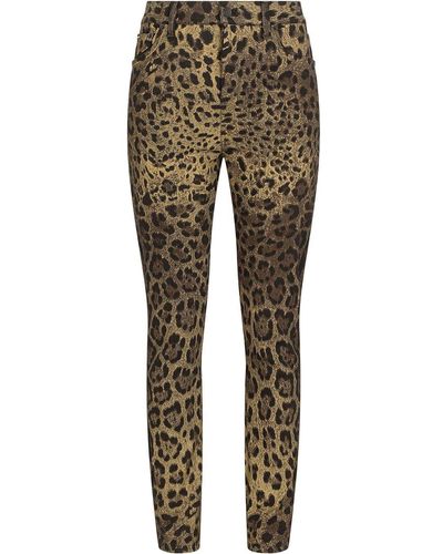 Dolce & Gabbana Cotton Printed Trousers - Brown