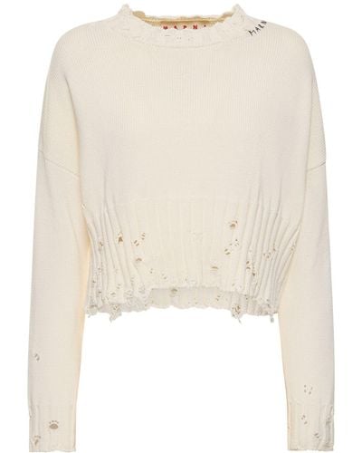 Marni Distressed Ribbed Cotton Crop Sweater - Natural