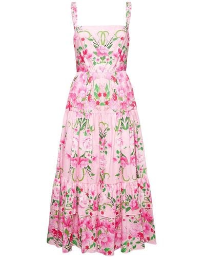 Borgo De Nor Daniela Printed Cotton Midi Dress - Pink
