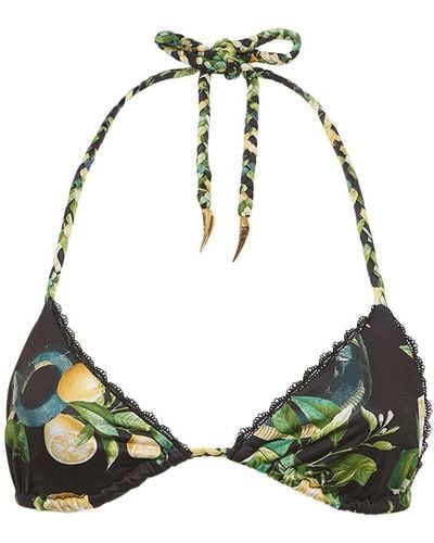 Roberto Cavalli Lycra Printed Triangle Bikini Top - Green