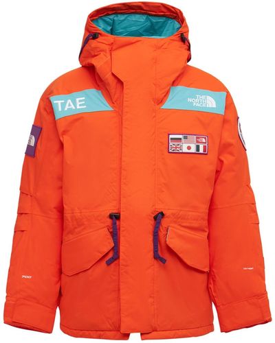 The North Face Recycelter Parka "ctae Flag Expedition" - Mehrfarbig