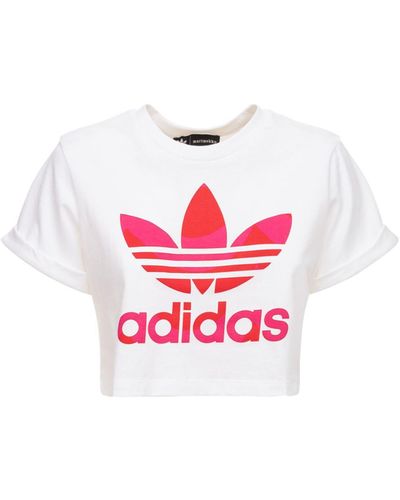 adidas Originals クロップドtシャツ - ピンク