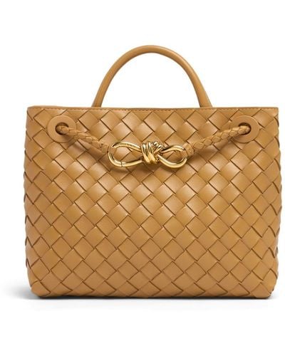 Bottega Veneta Small Andiamo Leather Top Handle Bag - Brown