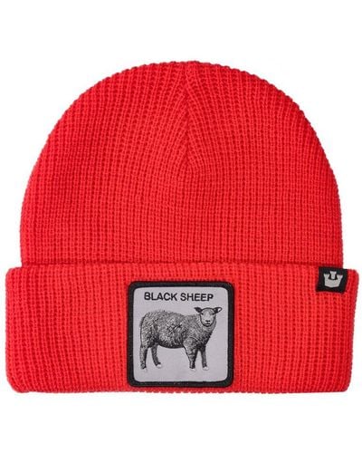 Goorin Bros Sheep This Knit Beanie - Red