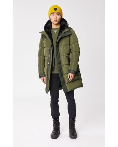 Mackage Reynold - Green