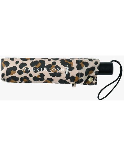 Mackintosh Ayr Folding Umbrella Leopard Acc-027 - White