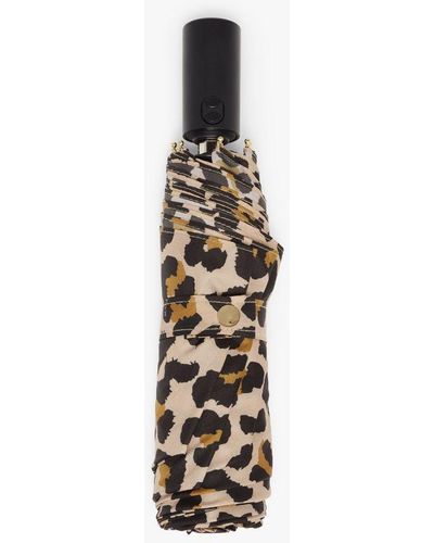 Mackintosh Ayr Leopard Automatic Telescopic Umbrella Acc-027 - Multicolor