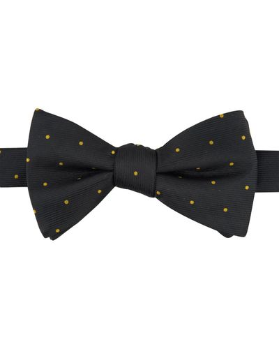 Tayion Collection Alpha Phi Alpha Dot Bow Tie - Black