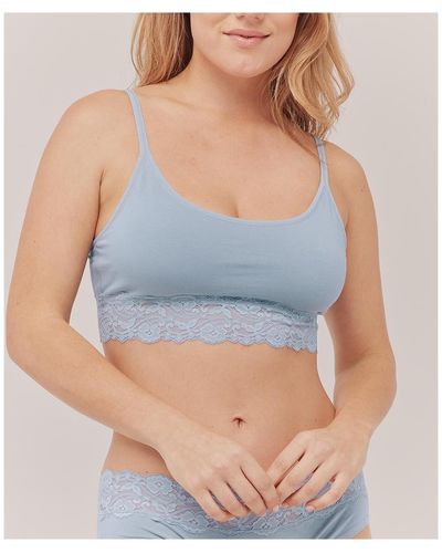 Pact Cotton Lace Smooth Cup Bralette - Blue