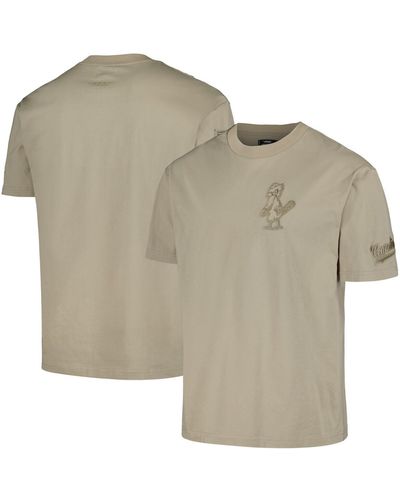 Pro Standard Pro Sdard St. Louis Cardinals Neutral Drop Shoulder T-shirt - Gray