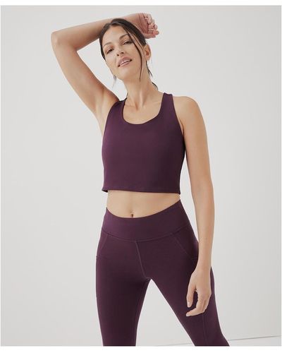 Pact Pure Fit Bra Top Made With Organic Cotton - Purple