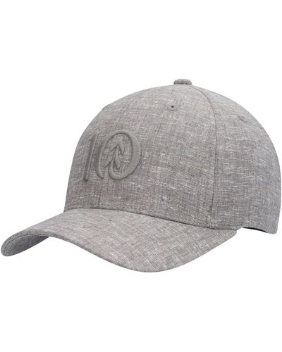 Tentree Logo Thicket Flex Hat - Gray