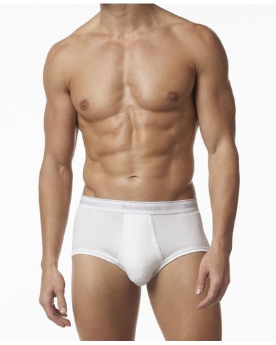 Stanfield's Premium Cotton 3 Pack Brief Underwear - White